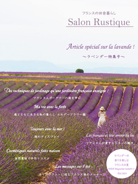 Magazine de Salon Rustique  No.3 