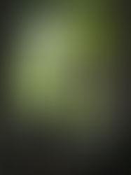 Salon Rustique ！オープン！