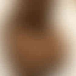 PG packer close up view of balls