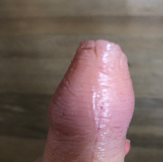 Bruno STP closeup view van de onderkant van de eikel