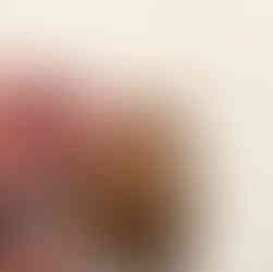 PG packer front view, tip visible