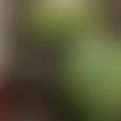 Zolo stroker backside of the box