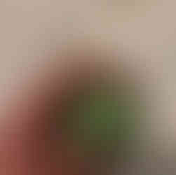 Zolo stroker, top view