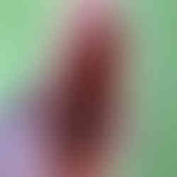 Mr X 3in1 backview of cup