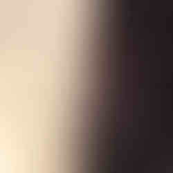 Packing with PG packer in cargo shorts, side view