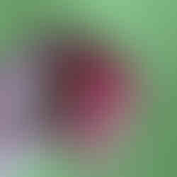 Mr X 3in1 front view, tip close up