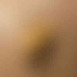 The Sheath side view