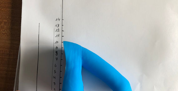 pierre regular (2).JPG