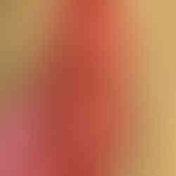 Pleasure rod inside the Mr X 3in1