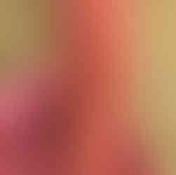 Pleasure rod front view, depicting a vulva