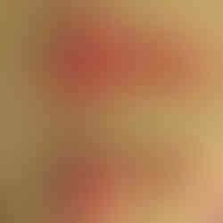 Mr X 3in1 and pleasure rod