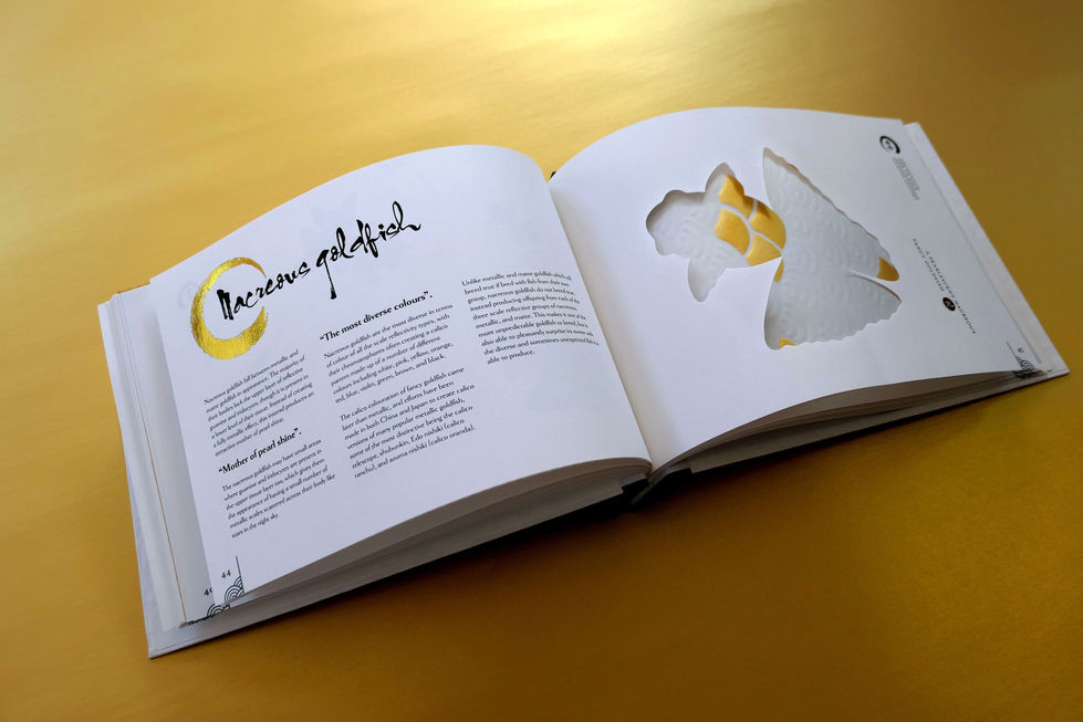 Pages about nacreous scaled goldfish from the Ode to gold book.