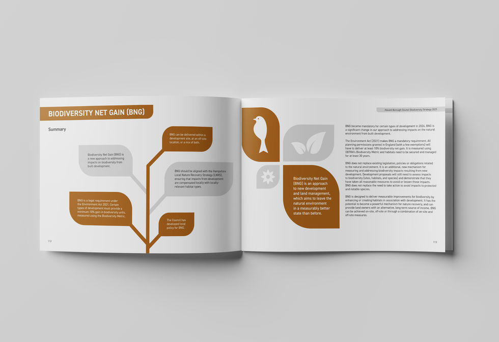 A double page spread of the Havant Borough Council Biodiversity Strategy printed document, featuring a modular leaf shape layout and illustrations reflecting the topic of biodiversity net gain.
