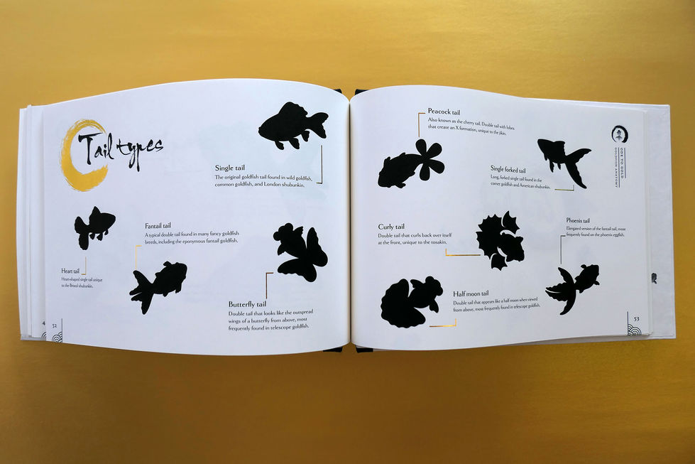 Pages depicting silhouettes of fancy goldfish with different tail types, from the book Ode to Gold.