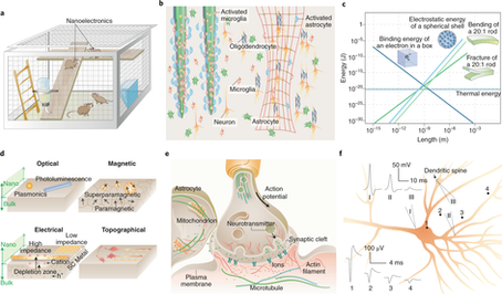 An Atlas of Nano-Enabled Neural Interfaces