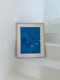 IMG_2485.jpeg