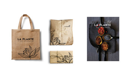 Terre Exotique Sophie Kapin 2018©