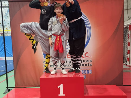 Retour en mĂ©daille du Championnat de France de Wushu đ â Sanda đ„ et Taolu đ 2026