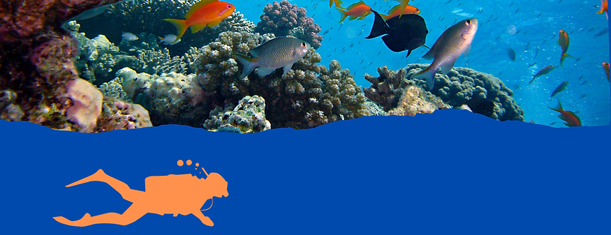 Deep diving SUBSCRIBE.png