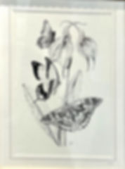Butterfly Design