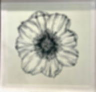 White Flower 1