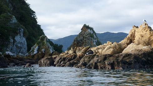 DSC02053.jpg