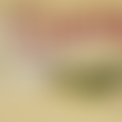 Lake Chaparral residents present case for county help