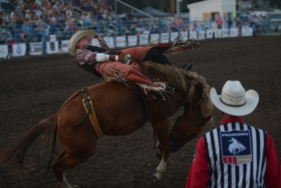 Shawn VanVlack holds on during the bareback bronc event at past Linn County rodeo. Fair organizers say this year a record number of competitors will attend. (Roger Sims / Linn County Journal)
