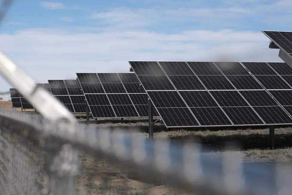 Solar panels line up collecting sun energy for some commercial businesses in Seward County. (Caleb Moore / Kansas News Service)