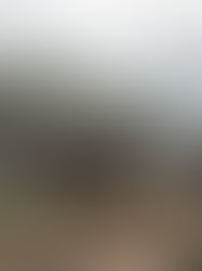 La Cygne council orders hearing on dangerous property; prevents residents from returning home