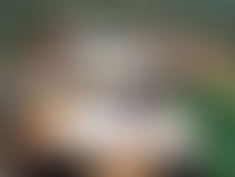 Prairie View seeking presenters, interviewers for Career Day on Nov. 18