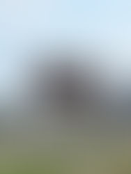 Commission approves measure to list industrial lots at appraised price