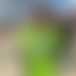 Pleasanton runner medals at state meet; Jayhawk, Prairie View runners place mid-pack