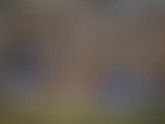 Kansas counted fewer homeless people this year. Trump's policy changes risk growing it again