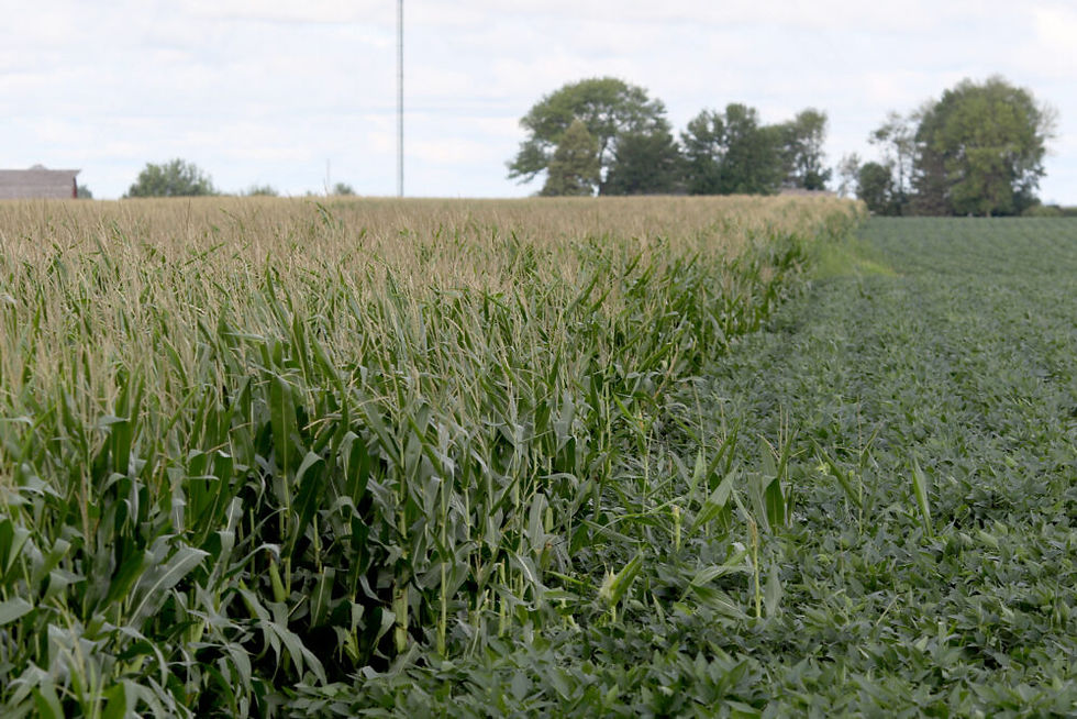 Kansas State University economist warns of fuel, fertilizer price shock for farmers