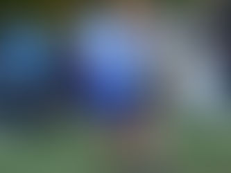 Pleasanton runner breaks record; Jayhawk, Buffalo runners improve times