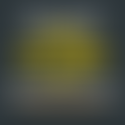 County's IT director reports on activities over past month