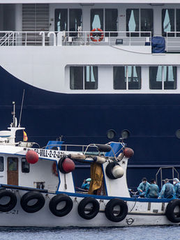 Three Kansans being monitored for hantavirus after contact with infected cruise ship passenger