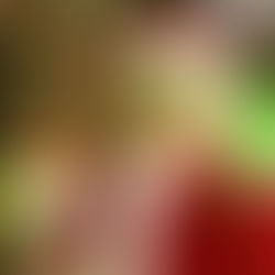 Arctic cold doesn't chill the spirits at Pleasanton's holiday event