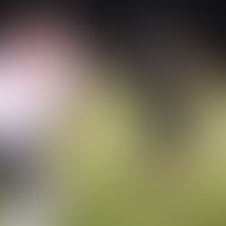 Thunder and Lightning lead the Buffalos in playoff blowout win