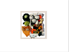 Les fruits et légumes de Léon à l'Ehpad de mèze