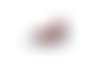 Gustave, le poulpe de l'étang de Thau