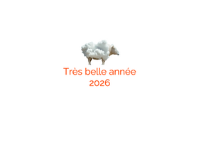 Très belle année 2026