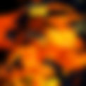 11-bg.jpg