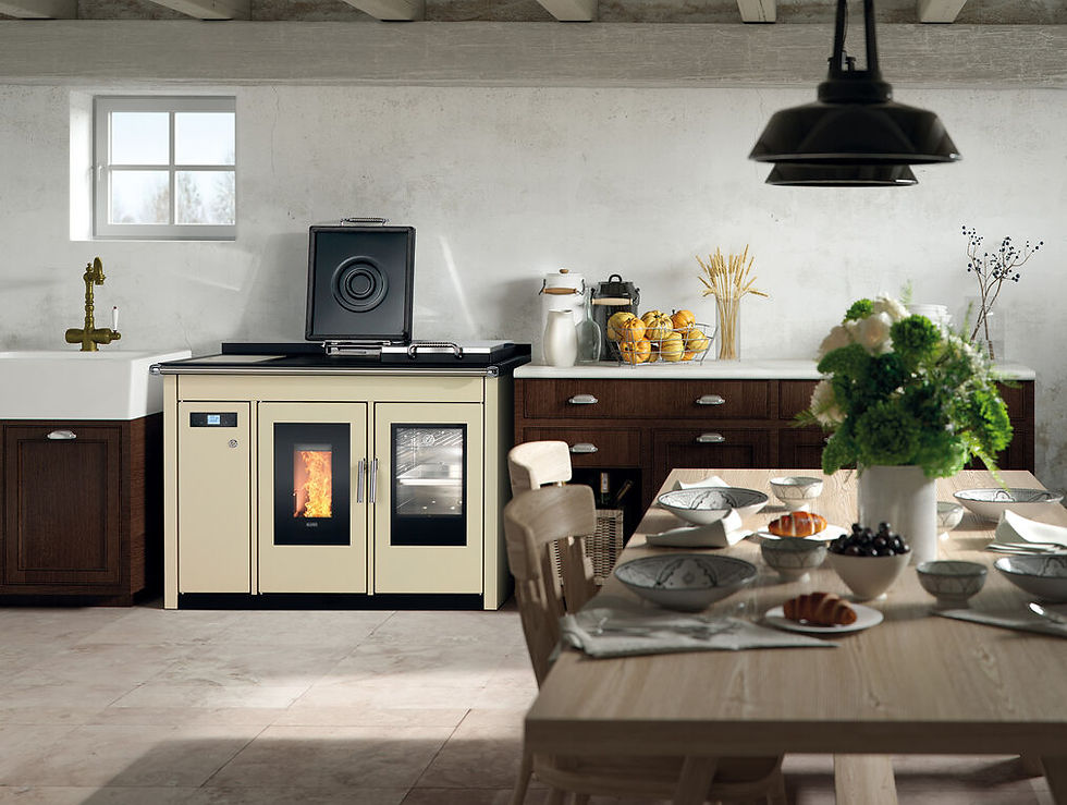 SMART 120 Traditional Wood Pellet Cooker/Boiler/Heater