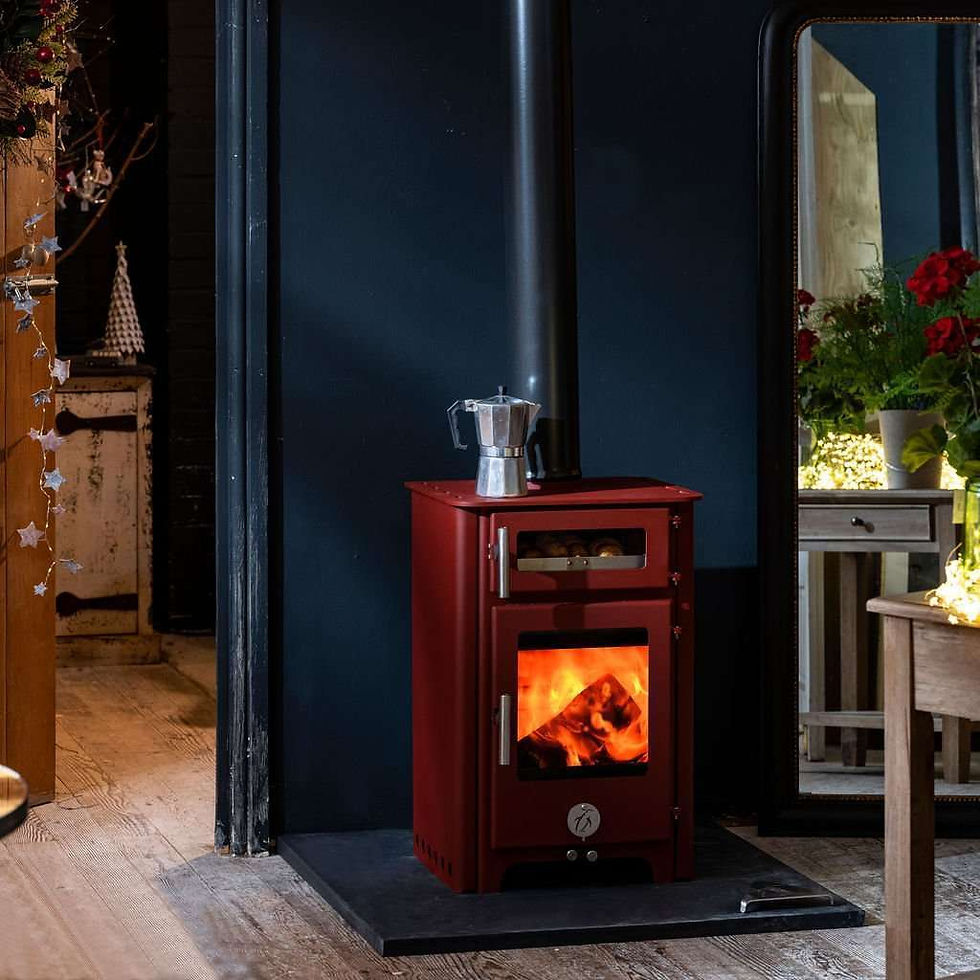 The FAT PENGUIN (Eco) 4.7kW Multi-fuel Stove