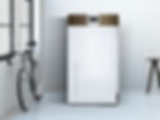 ECOWOOD 300 Wood Burning Boiler