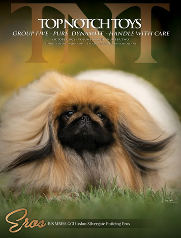 TNT Show Magazine November 2022.png