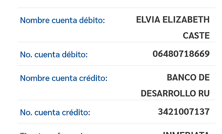 Ejemplo Boleta.jpg