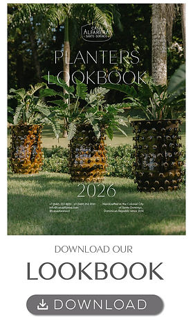 download-lookbook-banner.jpg